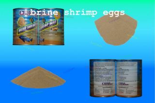   SHRIMP EGGS 10g GSL GREAT RESULTS BABY FRY FISH FOOD FOR BREEDERS