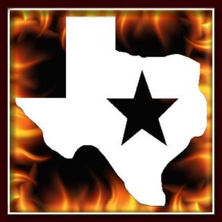 Texas State Lone Star airbrush stencil template harley paint