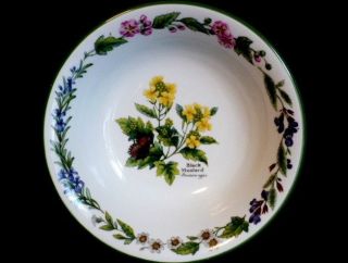 Royal Worcester Herbs Black Mustard Coupe Cereal Bowl c1990 Second