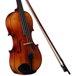   SIZE 4/4 CONCERT VIOLIN/FIDDL​E GERMAN WIT​H BOW, CASE AND ROSIN