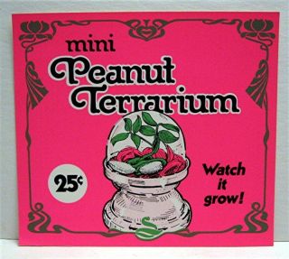 Mini Peanut Terrarium Gumball Vending Machine Toy Sign