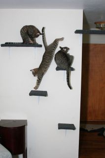 cat wall shelf in Furniture & Scratchers