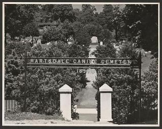   canine cemetery,pets,dogs,tombs,memorials,headstones,burial,1936