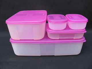   Freezer Mate Set w/Pink Seals 13, 6 cup + Mini Freeze 5 pc Smart Lot