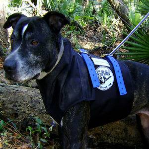 hog dog vest in Hunting Dog Supplies