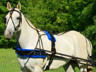 HORSE* SIZE Solid BLACK Biothane HARNESS with BLUE PAD Driving Horse 