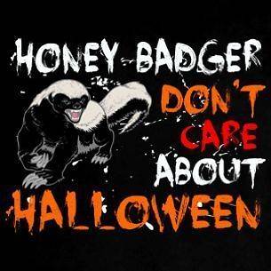 Honey Badger Dont Care About Halloween Costume T Shirt