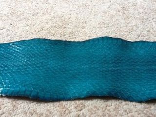 Genuine Grade A Python Snake Skin Blue Up to 4 different sizes from 