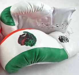 New 1 Pair of Youth Mexico 8oz Boxing Gloves For Kids