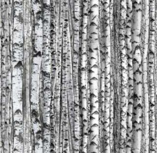 birch tree fabric in Fabric