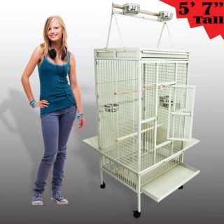 Pet Supplies  Bird Supplies  Cage Stands