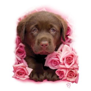 Chocolate Labrador Puppy Dog With Pink Roses Ladies Classic Fit White 