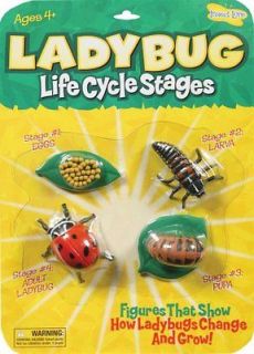 NEW Insect Lore Ladybug Life Cycle Stages