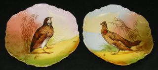 Limoges Coronet Matched Pair Hand Painted Bird Plates   Signed Max