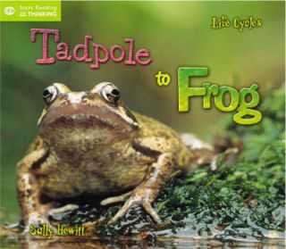 Life Cycles From Tadpole to Frog by Sally Hewitt (Paperback, 2006)