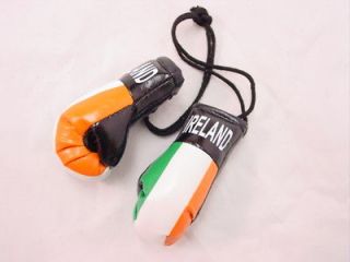 BOGO Mini Boxing Glove Sets   IRELAND   Auto Dorm Decor