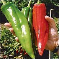 25 NEW MEXICO BIG JIM PEPPER SEEDS HEIRLOOM