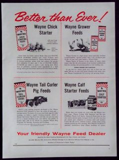 Vintage 1957 Wayne Feed Magazine Ad Chick Starter Tail Curler Calf 