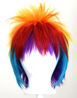 rainbow cosplay wig in Clothing, 