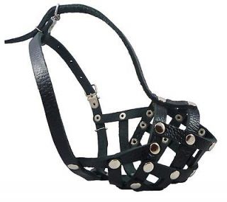 dog muzzle leather in Muzzles