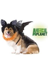 Brand New Animal Planet Bat Pet Dog Halloween Costumes Black 20103