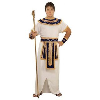 Prince of the Pyramids Egyptian King Pharoah Dress Up Halloween Adult 