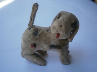ANTIQUE MOHAIR DOG FOX TOY TERRIER HUGE EARLY STEIFF TERRY GLASS EYES 