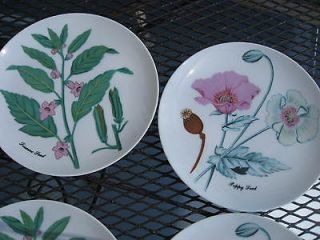 HORCHOW PLATE 2 BOTANICAL HERB PLATES POPPY & SESAME SEED 7 5/8 JAPAN 