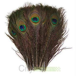 peacock real feather