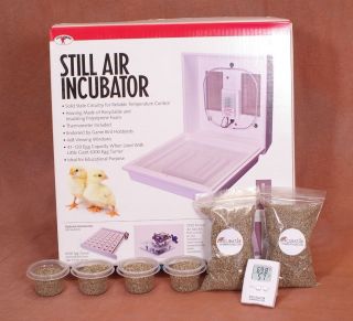   Still Air Egg Incubator Kit for Reptiles  Thermometer, substrate