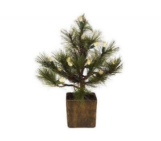   Lights Battery Operated Charlie Pine Tree with Timer CLEAR Lights
