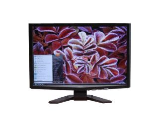 Acer 223WDBD 22 inch LCD Monitor