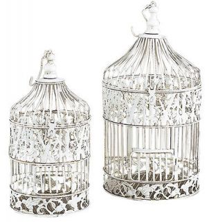 round bird cages in Cages