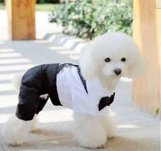 Cute Boy dog Clothing 4 Leg Business Suits Pants 
