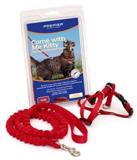 Come With Me Kitty Harness & Bungee Leash (6 Colors & All Sizes)