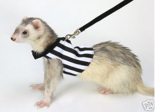Marshall Ferret Toy Dog Harness Jacket   Referee