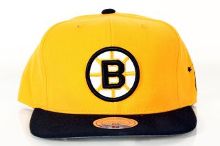 BOSTON BRUINS MITCHELL & NESS NHL SNAPBACK HAT NEW WITH TAGS