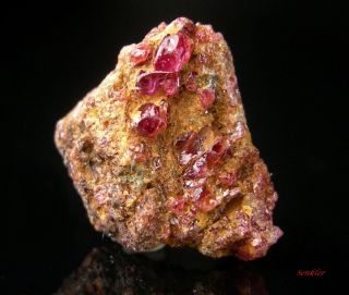 EXCEPTIONAL 10.95CT. PAINITE CRYSTAL W. RUBY`S