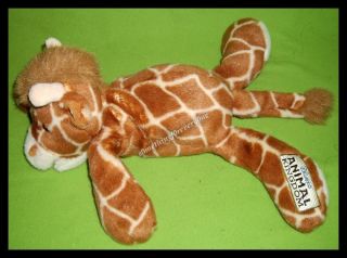 Disney Animal Kingdom Floppy Baby Giraffe beanbag plush stuffed animal 