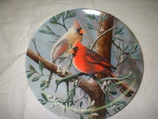 Birds of Your Garden Collector Plates
