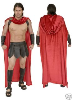 300 costume in Costumes, Reenactment, Theater