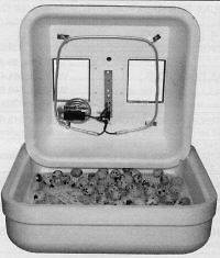 1602 Hova Bator Incubator, for reptiles to poultry