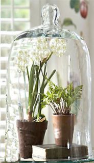 15 TALL Glass DISPLAY BELL Jar DOME~ Terrarium~Plant~Taxidermy~Knob 