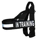  IN TRAINING Nylon Strap Dog Harness patch Service IDC All Sizes