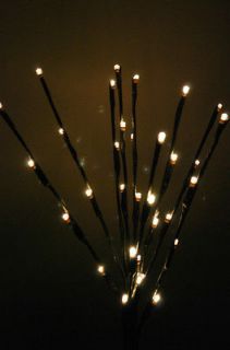 20 Lighted Willow Twig BRANCH    Battery operated    32 LED lights