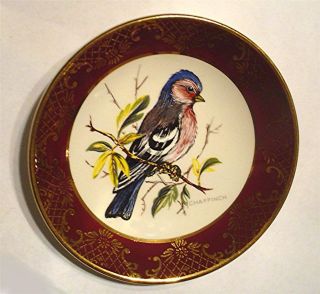   HAND PTD FINCH BIRD PLATE w/GOLD PLATING BY ROYAL FALCON WARE~ENGLAND