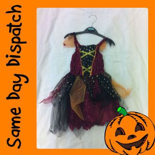 Halloween Burgundy Witch Fancy Dress Costume Sparkle Dress   Wendy the 