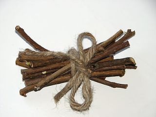 Apple wood .5 1 pet chew twig stick ORGANIC treat chinchilla rabbit 