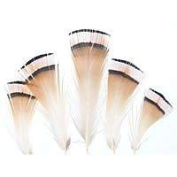 NEW 20pcs Golden Pheasant Red Tip Tail Feathers 20 25CM Long for Craft 