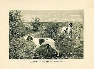 ANTIQUE Dog Engraving Print 1882 Pointer Dogs Champion FAUST and BOW